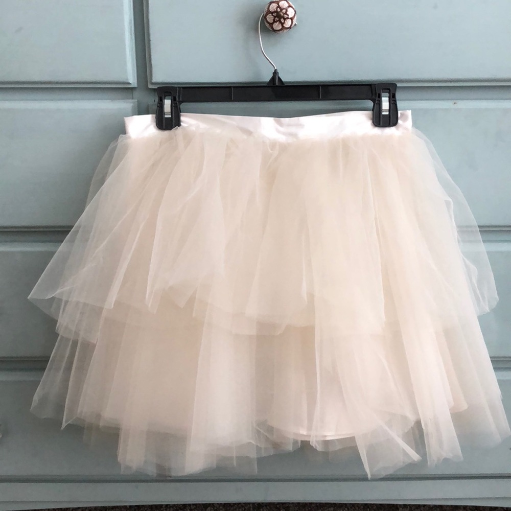 Tulle Skirt